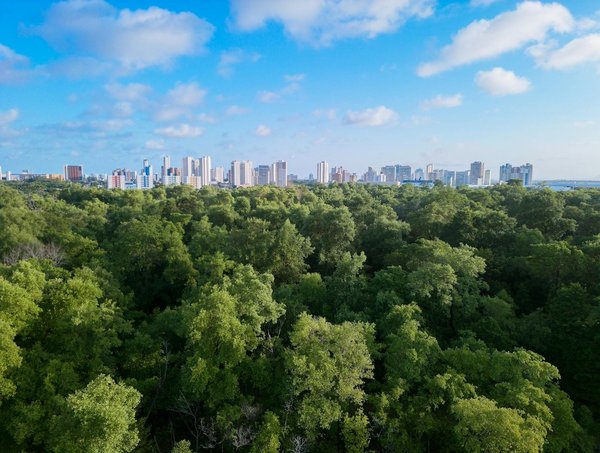 Briquet sanji : comment l'entretenir ?